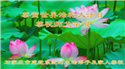 各行业大法弟子庆祝世界法轮大法日(112条)