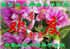 长春大法弟子庆祝世界法轮大法日(171条)