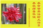 明真相世人庆祝世界法轮大法日(84条)