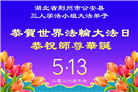 湖北大法弟子庆祝世界法轮大法日(161条)