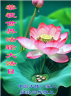 各行业大法弟子庆祝世界法轮大法日(112条)