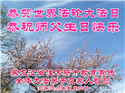 教育系统大法弟子庆祝世界法轮大法日(76条)
