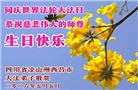 在感恩中精進：四川大法弟子恭贺世界法轮大法日(164条)