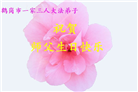 大陆大法弟子庆祝世界法轮大法日(106条)