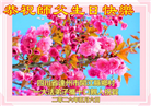 在感恩中精進：四川大法弟子恭贺世界法轮大法日(164条)