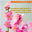 在感恩中精進：四川大法弟子恭贺世界法轮大法日(164条)