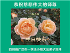 在感恩中精進：四川大法弟子恭贺世界法轮大法日(164条)