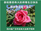 在感恩中精進：四川大法弟子恭贺世界法轮大法日(164条)