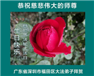 广东、广西、海南、湖南、江苏大法弟子庆祝世界法轮大法日(117条)