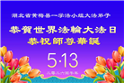 河南、湖北大法弟子庆祝世界法轮大法日(113条)