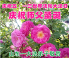 山东大法弟子庆祝世界法轮大法日(118条)