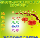 哈尔滨大法弟子庆祝世界法轮大法日(112条)