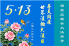 湖北大法弟子庆祝世界法轮大法日(161条)