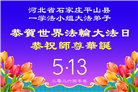 石家庄大法弟子庆祝世界法轮大法日(163条)