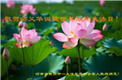 河南大法弟子庆祝世界法轮大法日(112条)