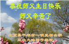 乡村大法弟子庆祝世界法轮大法日(236条)