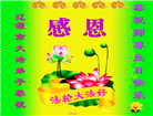 吉林省大法弟子庆祝世界法轮大法日(111条)
