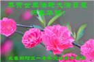 长春大法弟子庆祝世界法轮大法日(111条)