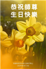 珍惜机缘精進实修 纽约地区大法弟子大法日敬谢师恩
