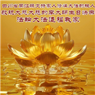 明真相世人庆祝世界法轮大法日(79条)