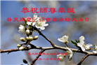 欧洲七国大法弟子恭贺世界法轮大法日
