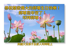 感恩师尊　西欧七国大法弟子庆贺世界法轮大法日