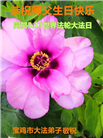 各行业大法弟子庆祝世界法轮大法日(158条)
