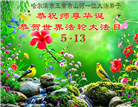 黑龙江大法弟子庆祝世界法轮大法日(166条)
