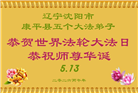 沈阳大法弟子庆祝世界法轮大法日(108条)