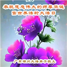 山东大法弟子庆祝世界法轮大法日(120条)