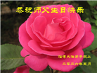 山东大法弟子庆祝世界法轮大法日(120条)