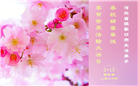 河北大法弟子庆祝世界法轮大法日(119条)