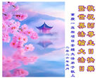 重庆大法弟子庆祝世界法轮大法日(55条)