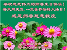 山东大法弟子庆祝世界法轮大法日(113条)