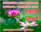 山东大法弟子庆祝世界法轮大法日(113条)