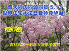 吉林省大法弟子庆祝世界法轮大法日(107条)