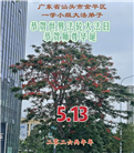 广东、广西、海南、湖南、江苏大法弟子庆祝世界法轮大法日(168条)