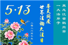 黑龙江大法弟子庆祝世界法轮大法日(166条)