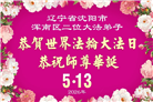 沈阳大法弟子庆祝世界法轮大法日(108条)