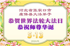 河北大法弟子庆祝世界法轮大法日(119条)